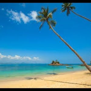 Meet your Posher, Roni